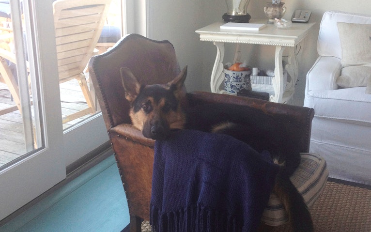 Seller Story: Debbie Gruber, Los Angeles, CA