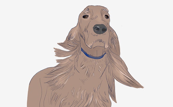 Silver September: Silver Medalists